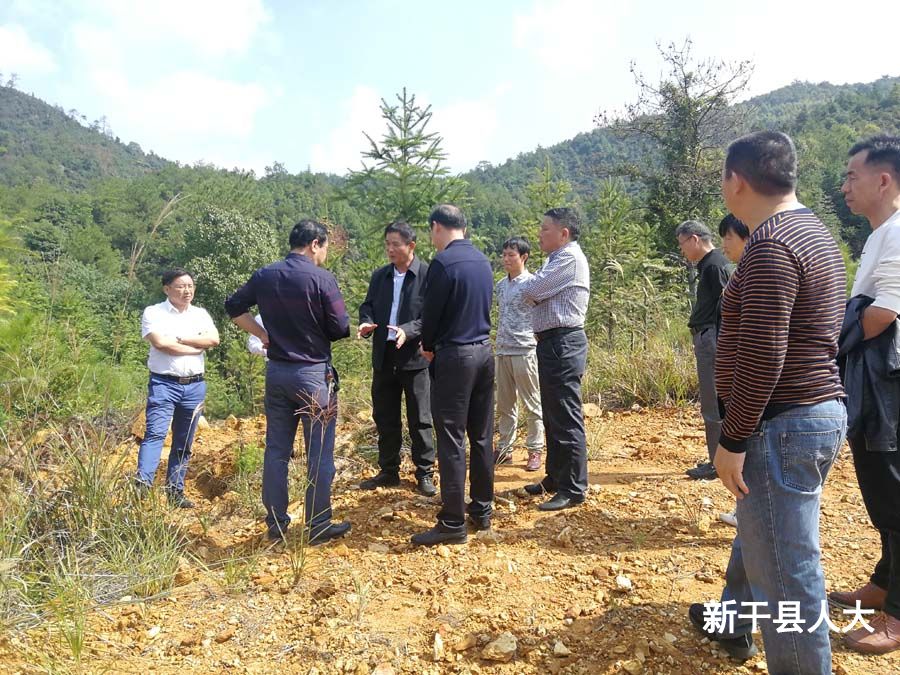 县人大常委会主任陈春延调研农村安全饮水工程