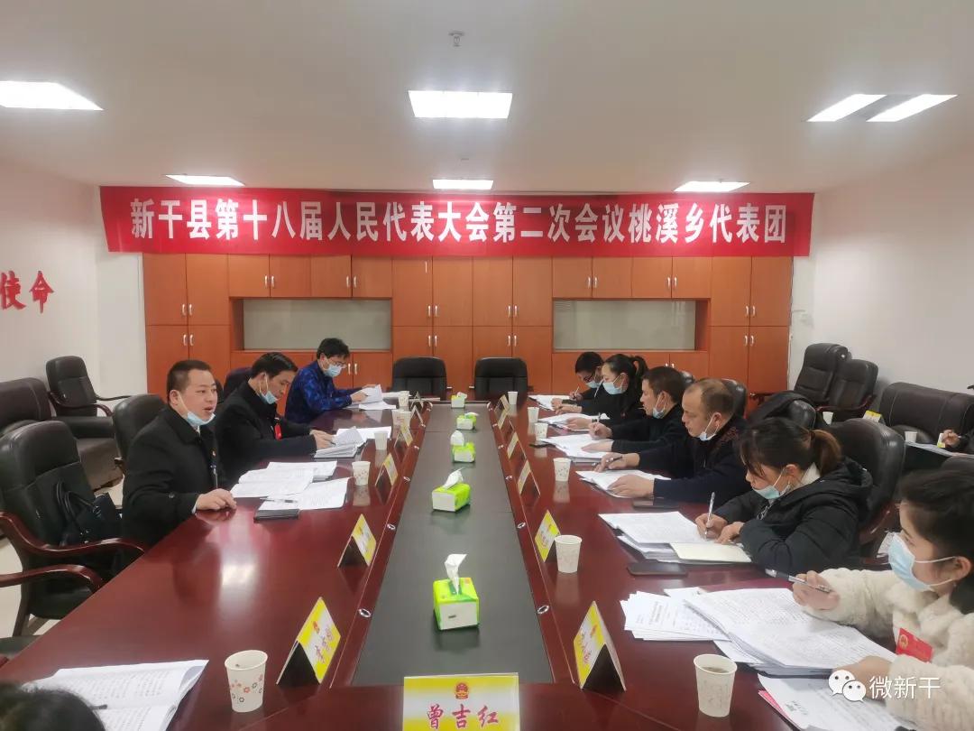 审议桃5.jpg
